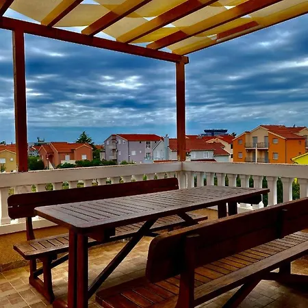 Zeljak Vodice