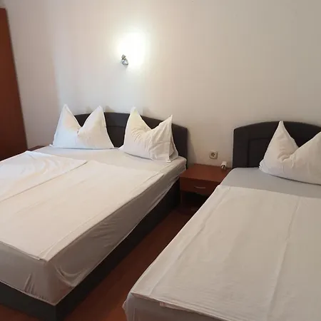 Zeljak Vodice
