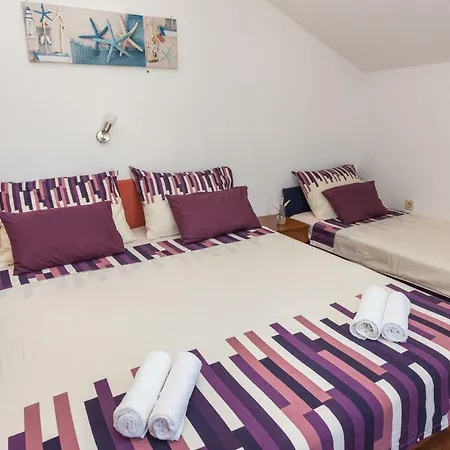 Zeljak Vodice